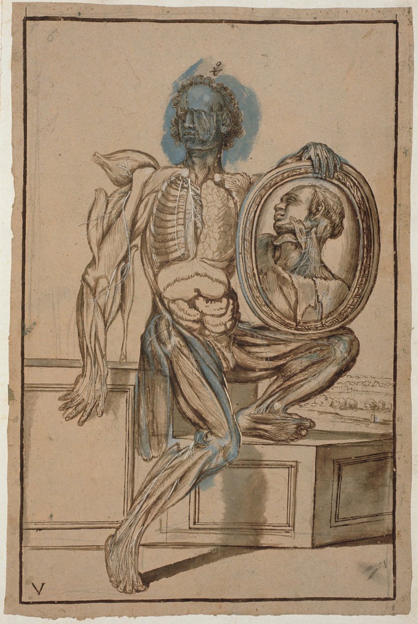 Ms Hunter 653 Planche V Dessin anatomique, c.1610 - Pietro da Cortona