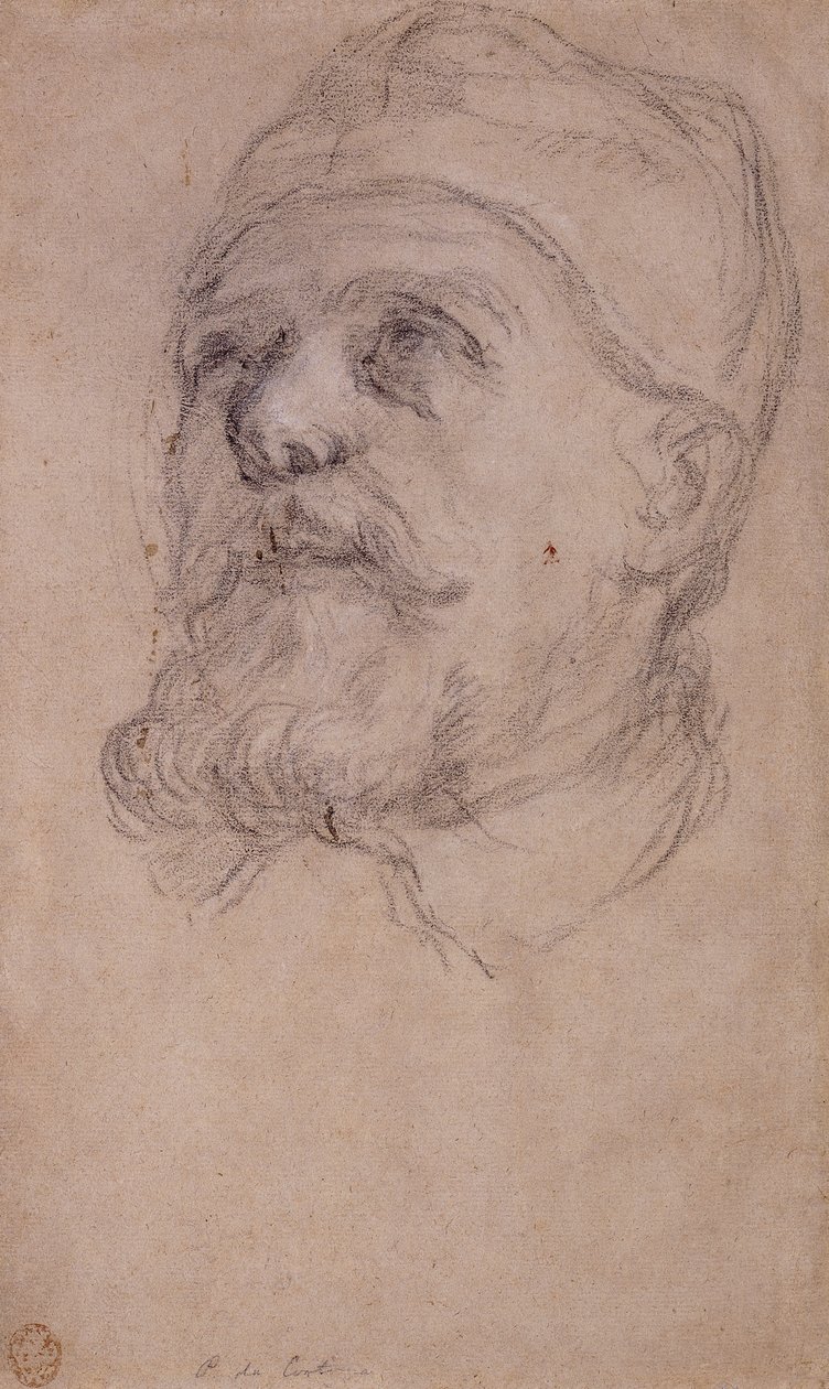 La Tête du pape Urbain VIII - Pietro da Cortona