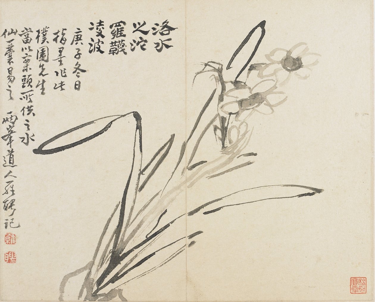 Paysages, Fleurs et Oiseaux : Narcisse, Dynastie Qing - Luo Ping