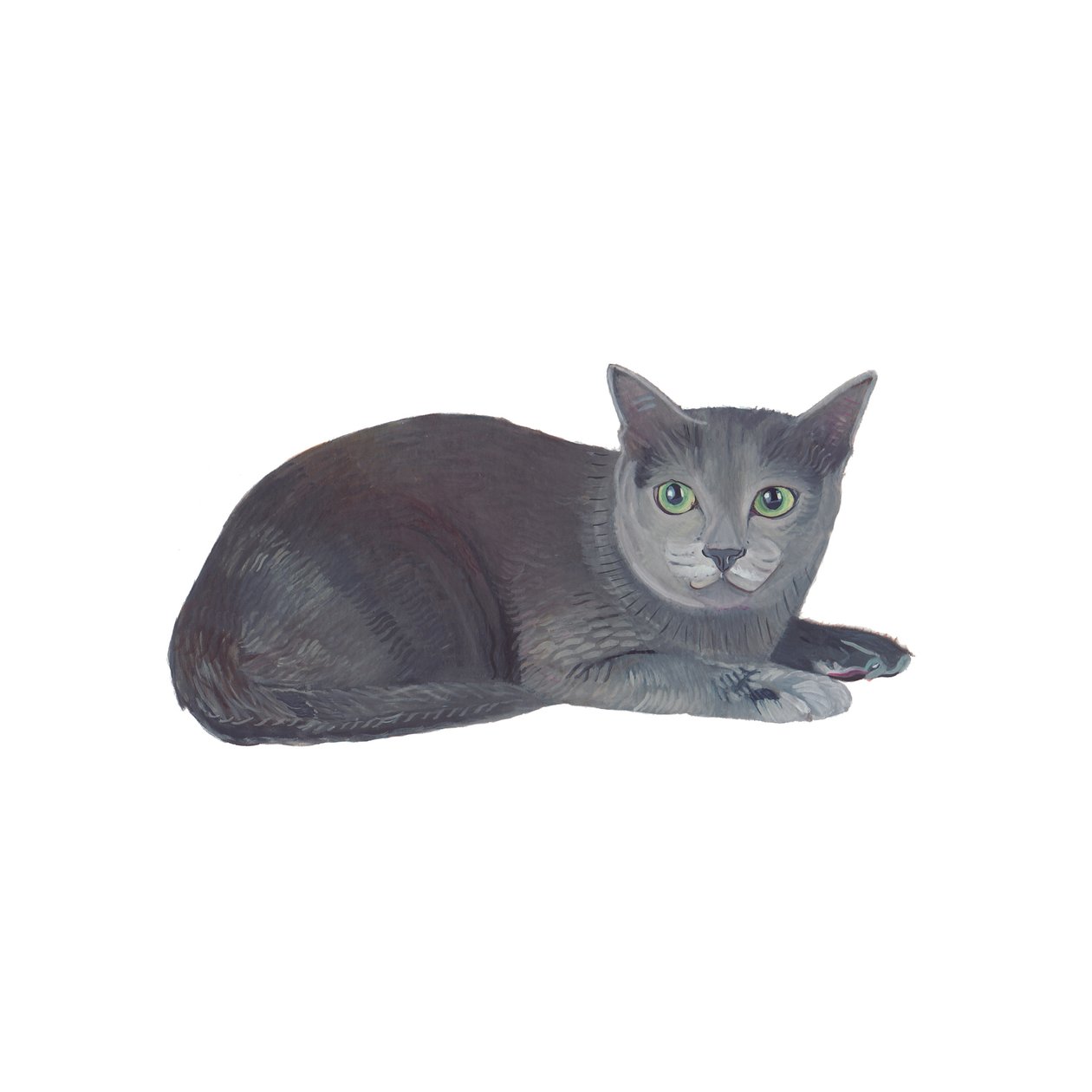 Korat, 2014 (aquarelle et gouache sur papier) - Polly Horner