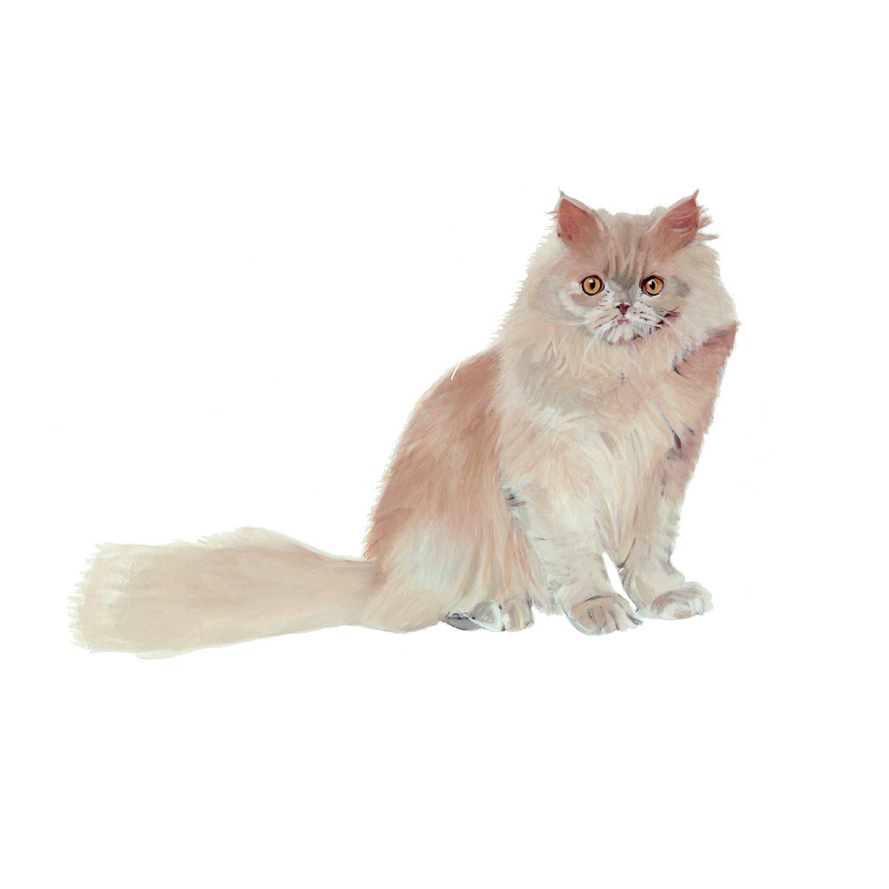 Lilas de Perse, 2014 (aquarelle et gouache sur papier) - Polly Horner