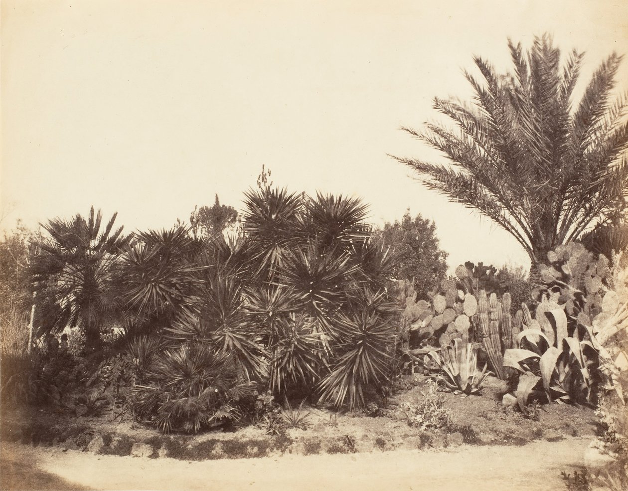 Jardin Pincian, Rome - Possibly by Jane Martha St. John.