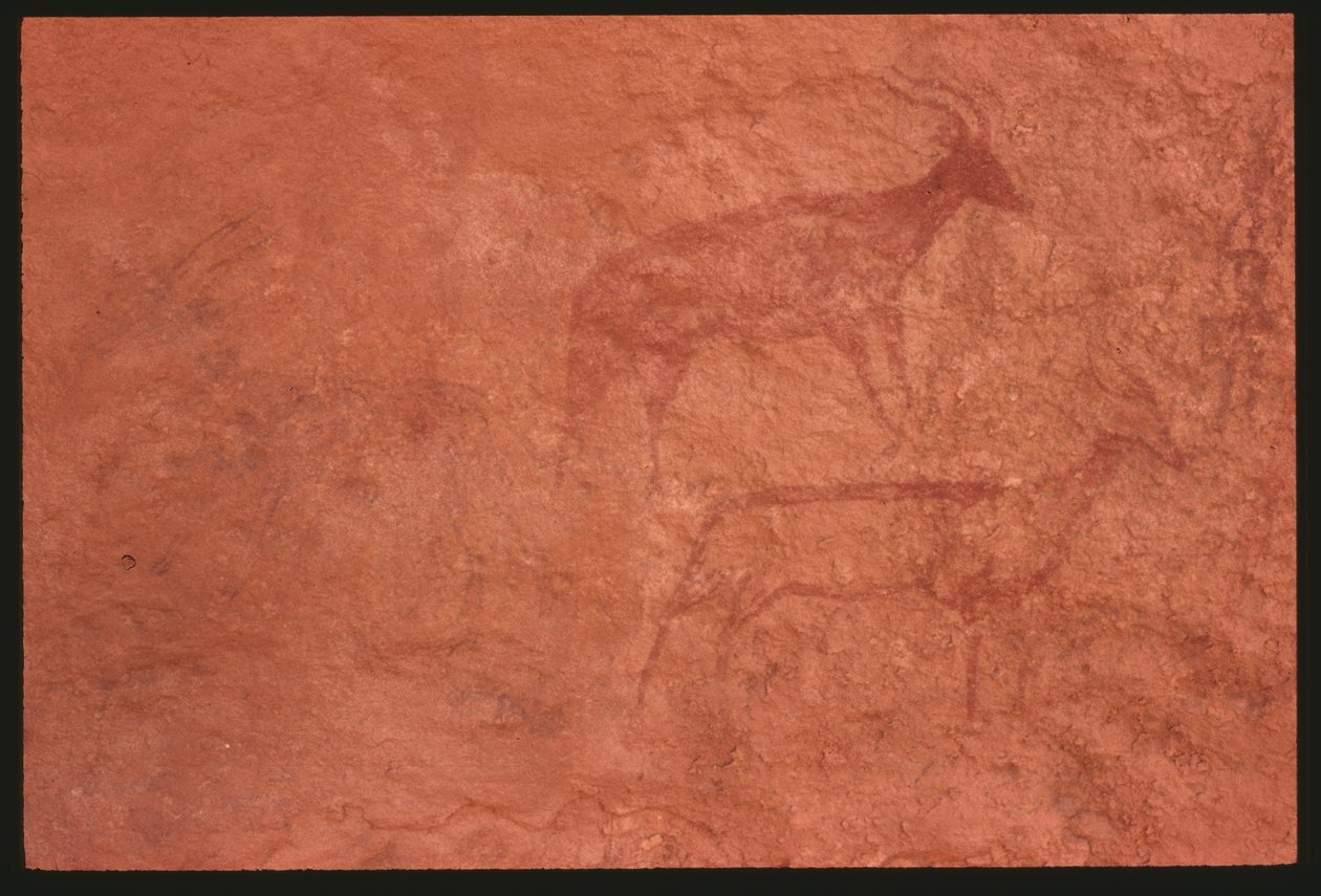 Vaches - Prehistoric