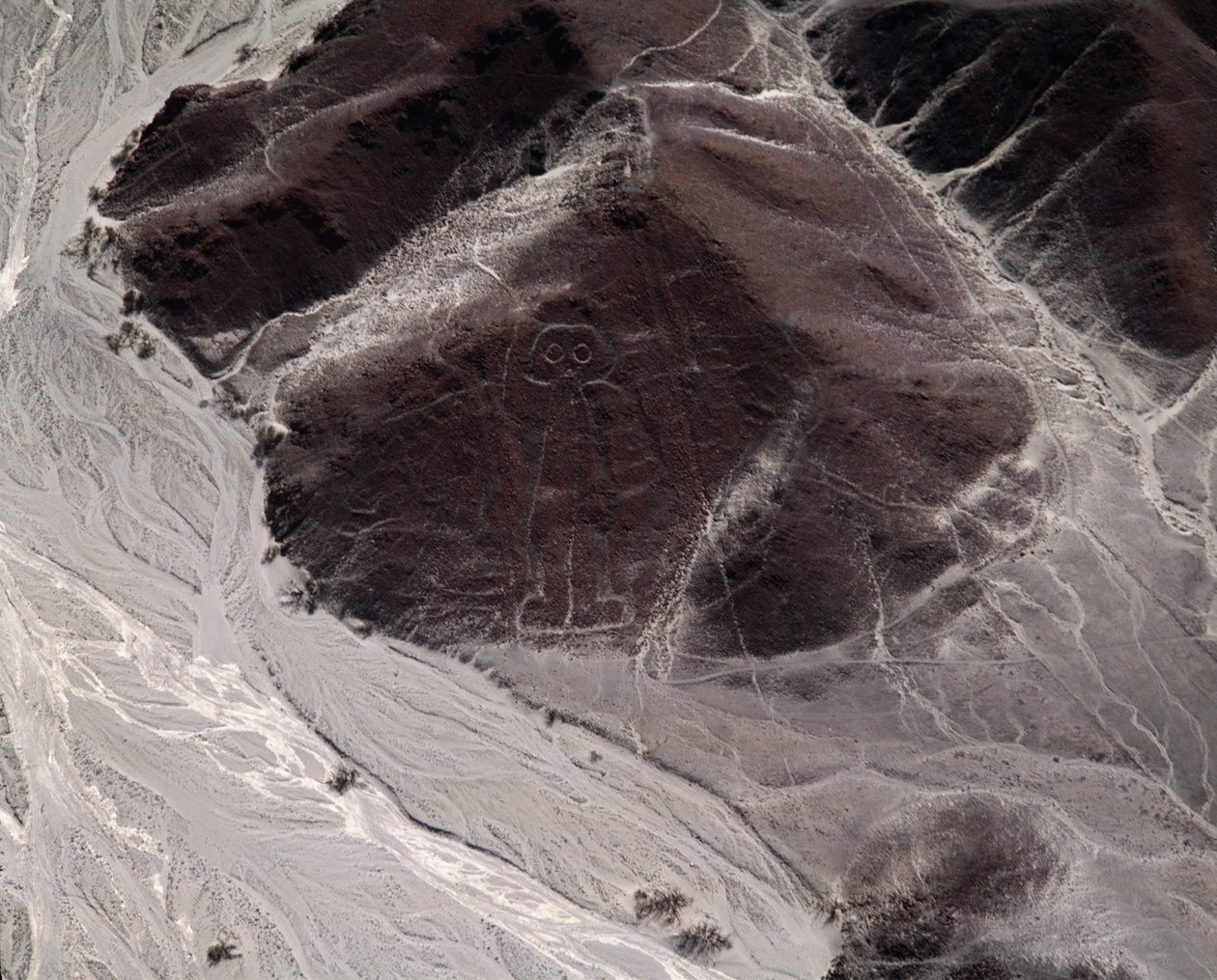 Vue aérienne des lignes de Nazca représentant une figure humaine - Prehistoric Prehistoric