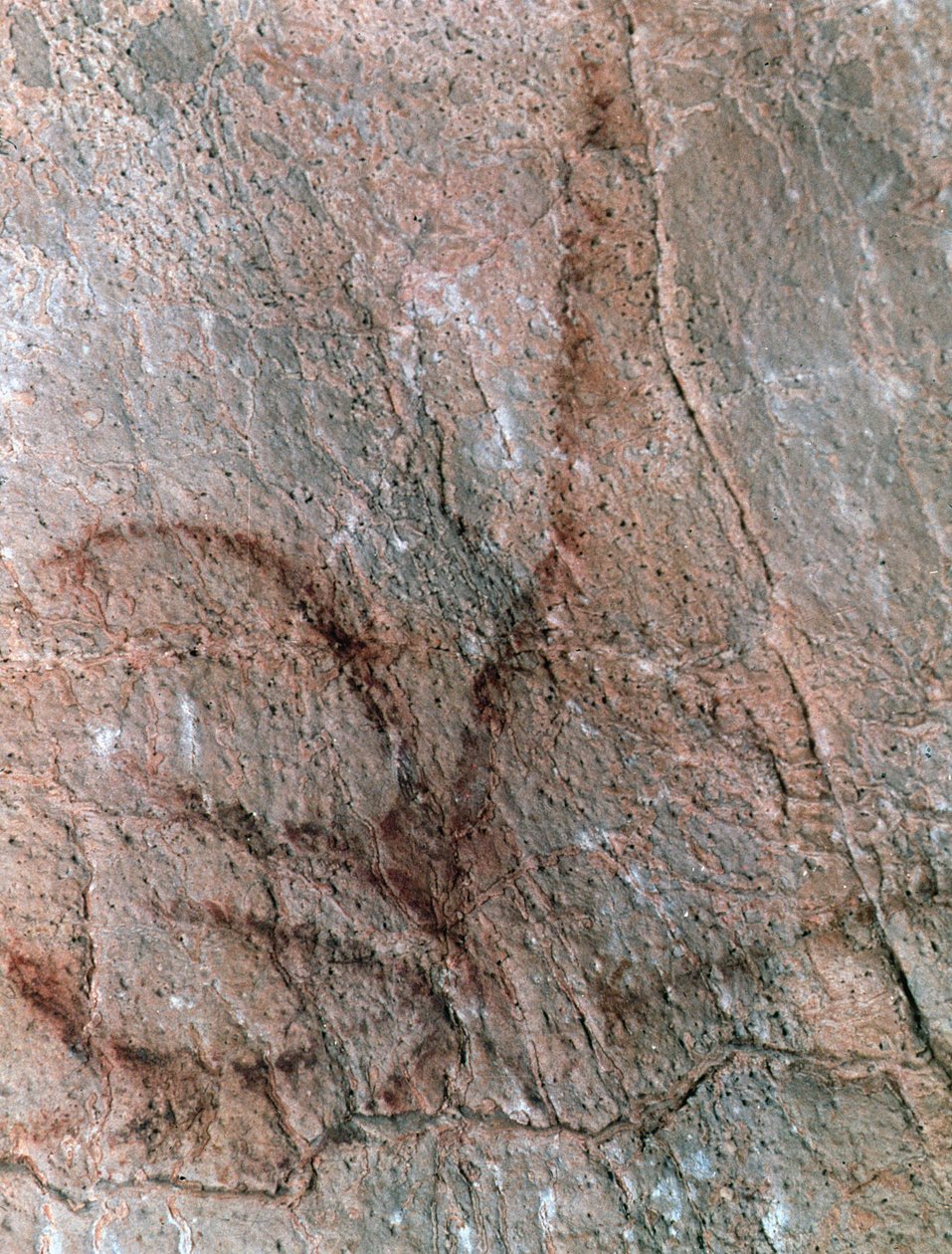  - Prehistoric Prehistoric