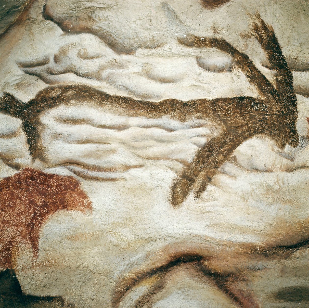 Peinture rupestre de cervidé, Grotte de Lascaux, Dordogne, France, Paléolithique supérieur (Magdalénien) vers 13000 ans - Prehistoric Prehistoric