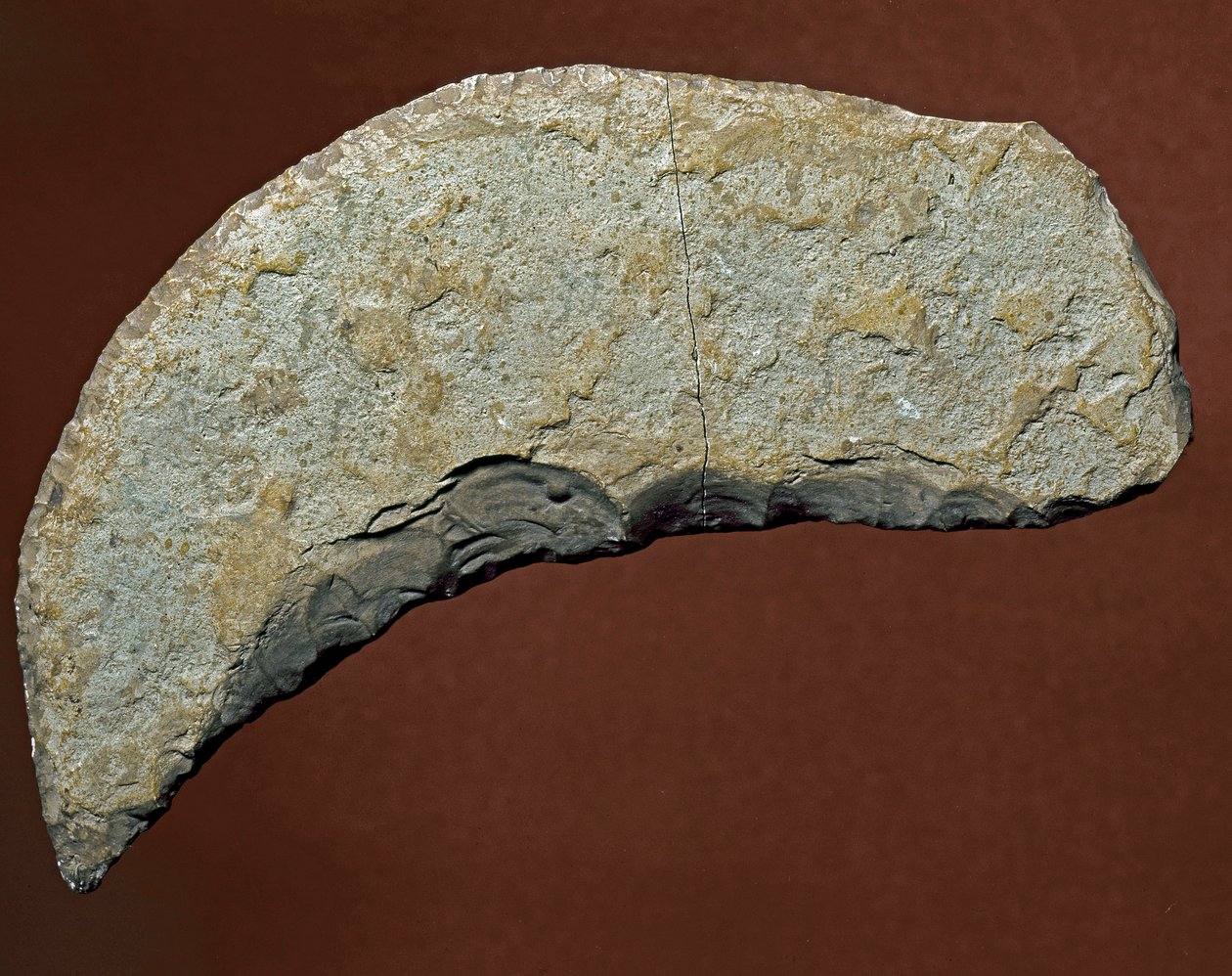 Préhistoire : outil de type chopper de fabrication lithique de Kjokkenmoddinger, Danemark - Prehistoric Prehistoric