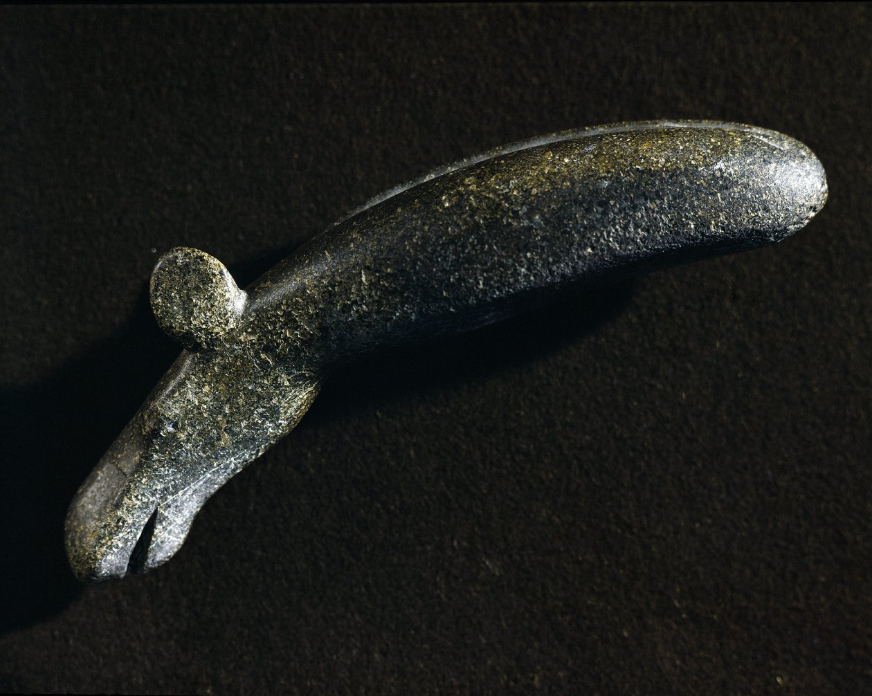 Préhistoire : outil en diorite en forme d