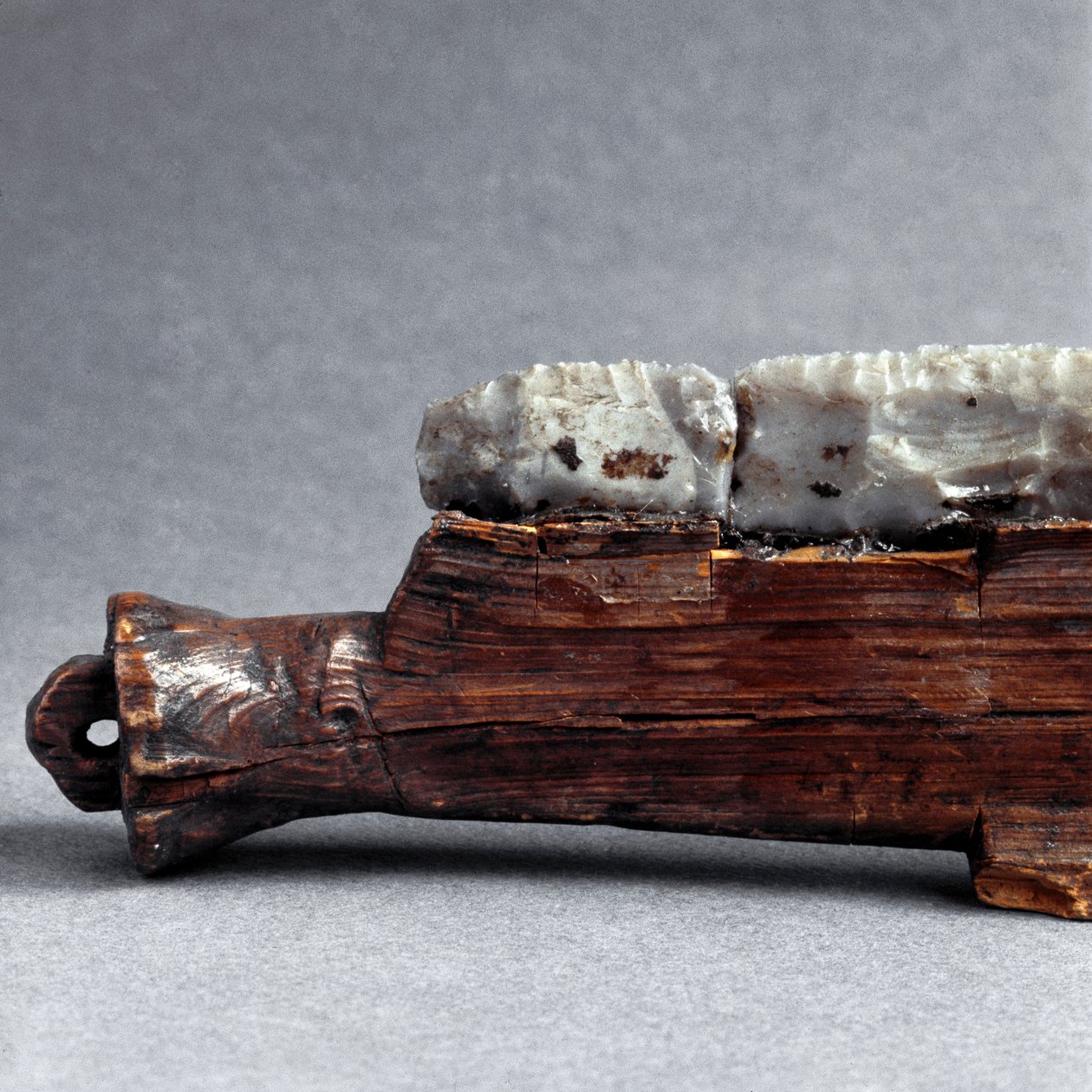 Préhistoire, culture de Polada : scie de la tourbière de Polada, Lonato. Âge du bronze. Rome, Museo Nazionale Preistorico Etnografico Luigi Pigorini - Prehistoric Prehistoric