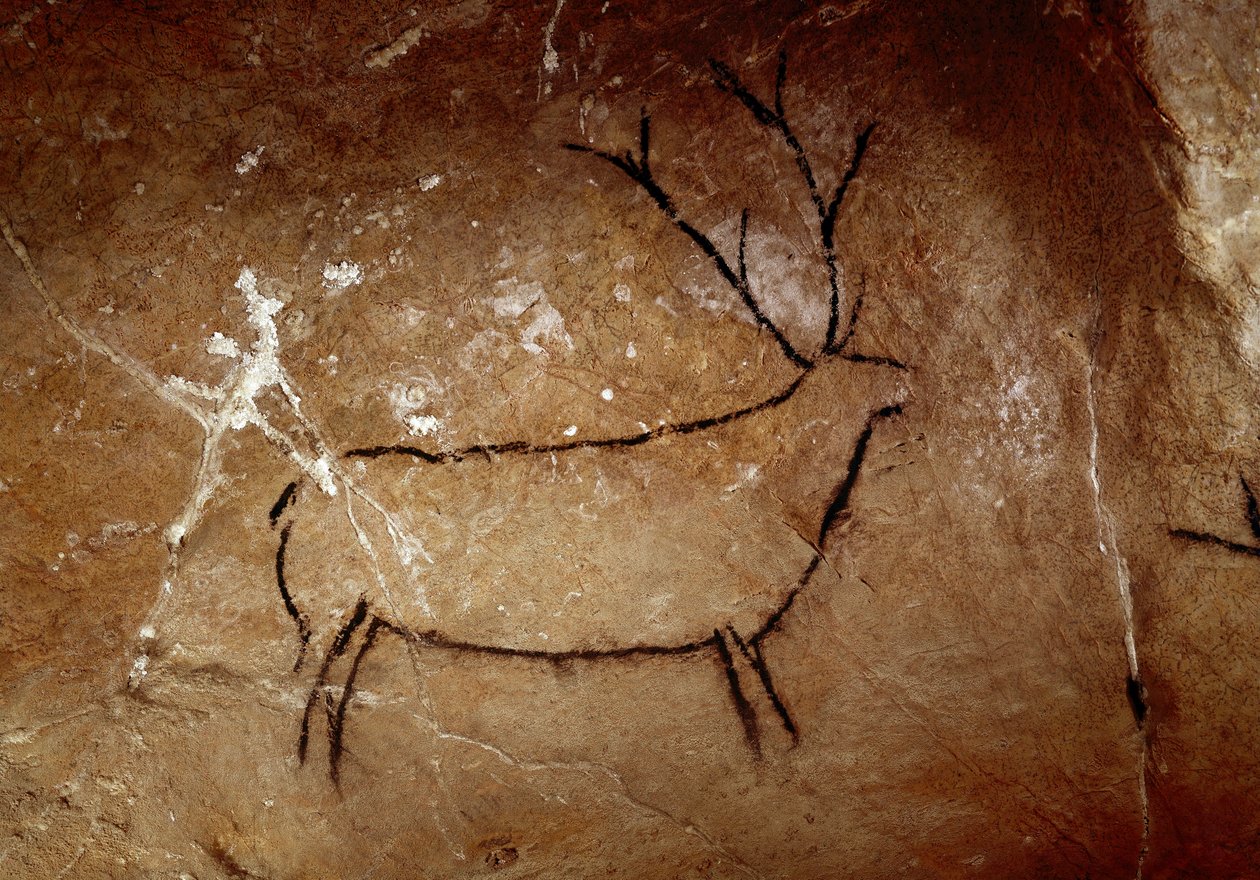 Préhistoire : un cerf. Peinture rupestre paléolithique supérieur (Magdalénien) (16 500 à 14 000 ans). Âge de pierre. Grotte de Las Chimeneas, Monte Castillo, Espagne - Prehistoric Prehistoric