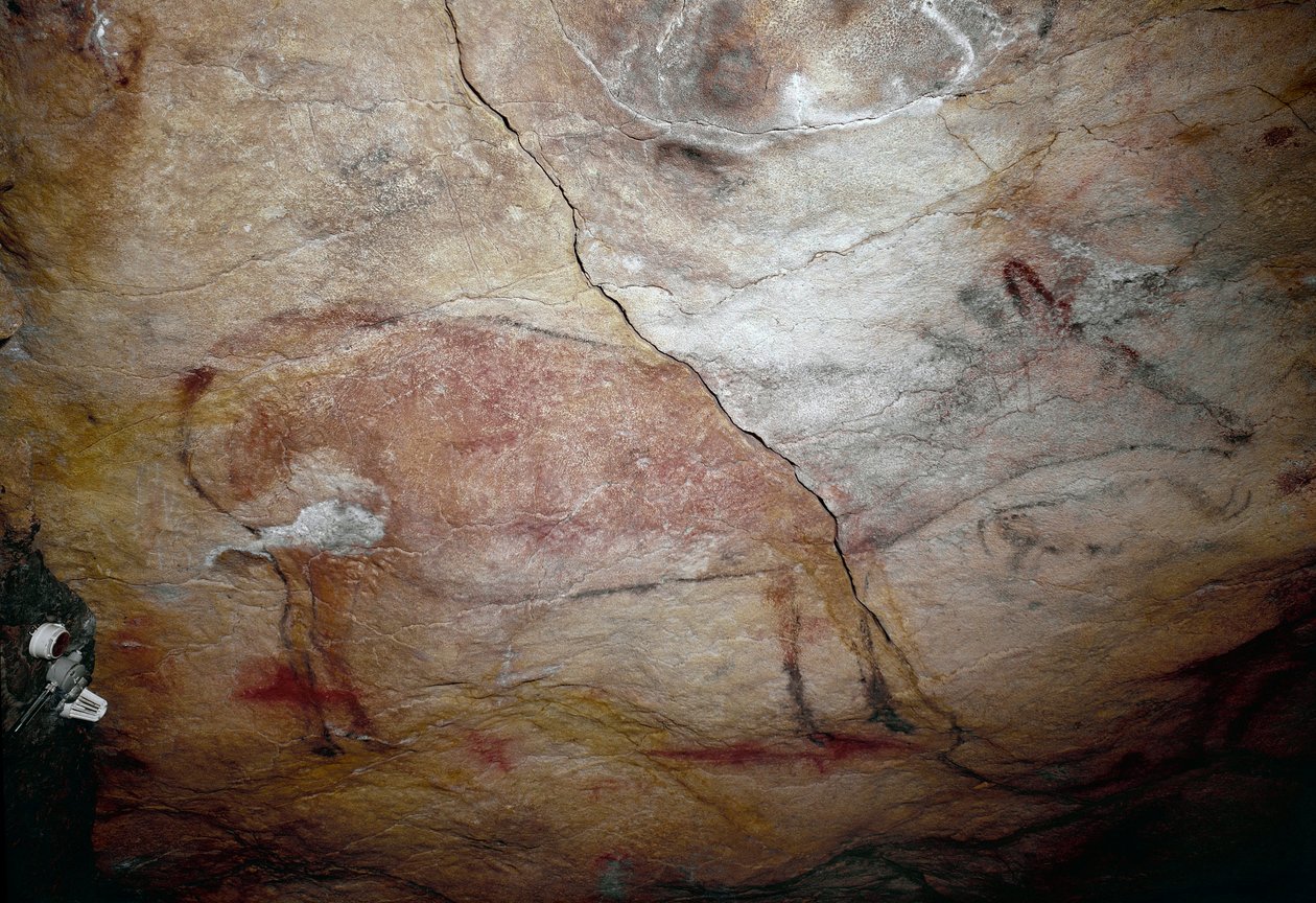 Préhistoire : peinture rupestre d
