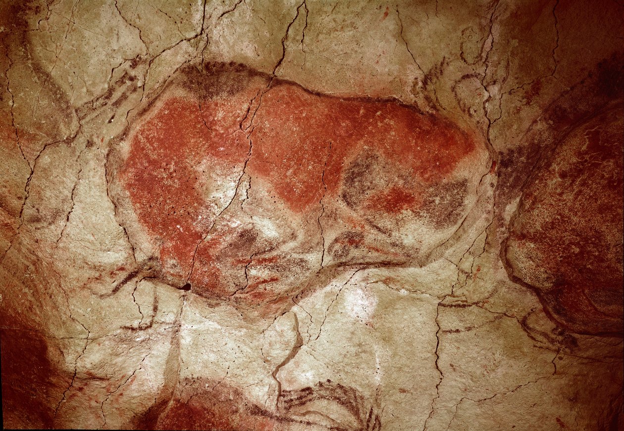 Préhistoire : « bison au repos » peinture rupestre du Paléolithique supérieur (Magdalénien) (entre 16500 et 14000 ans). Grotte du Bison, Altamira, Santander, Espagne - Prehistoric Prehistoric