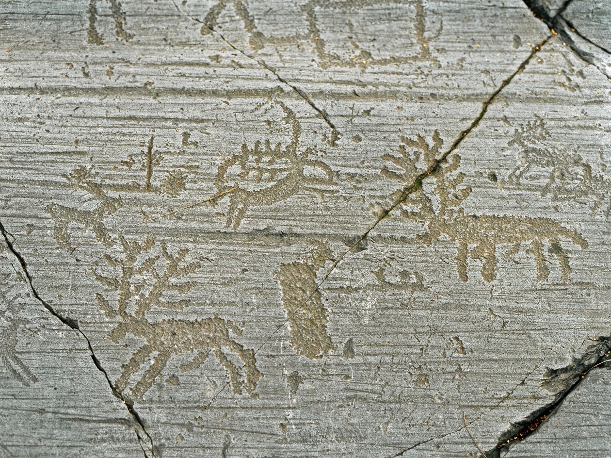 Préhistoire, civilisation des Camunni, art rupestre : roche funéraire représentant des cerfs. Période entre le Néolithique et l