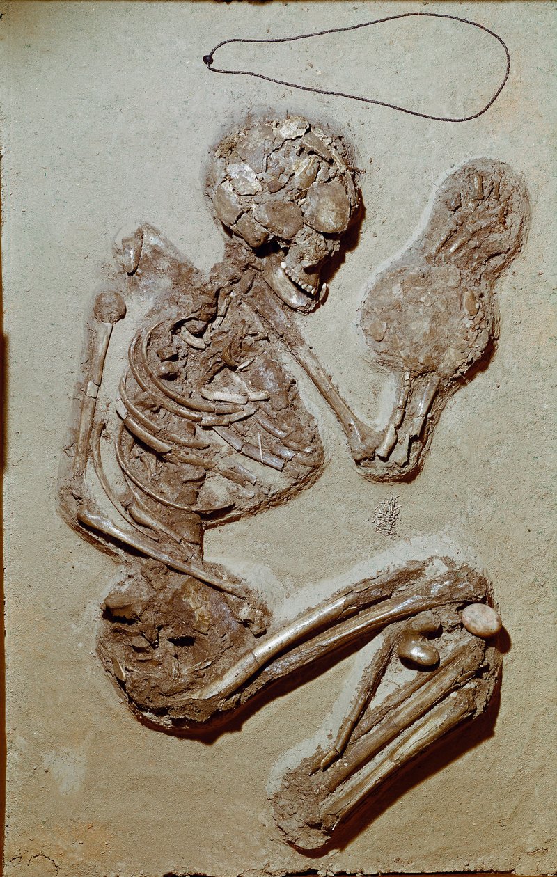 Préhistoire : squelette féminin datant du Néolithique supérieur. Culture de Chiozza. 2900-2700 av. J.-C. - Prehistoric Prehistoric