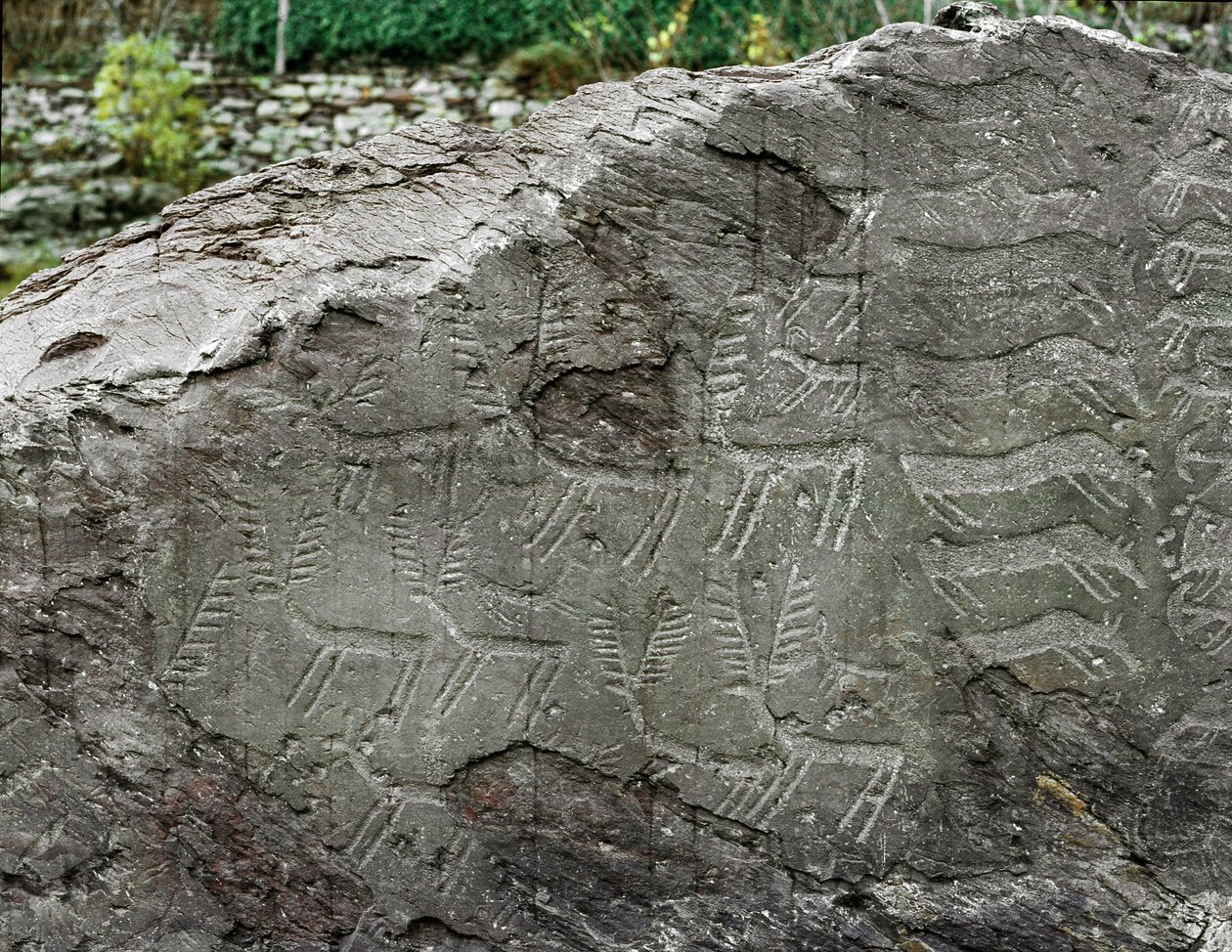 Préhistoire, art rupestre : roche funéraire avec des représentations de cerfs, bovins. Âge du cuivre. Période énéolithique (chalcolithique). Roche n. 1. Cemmo (Brescia) Parc archéologique national des Massi di Cemmo, Italie - Prehistoric Prehistoric