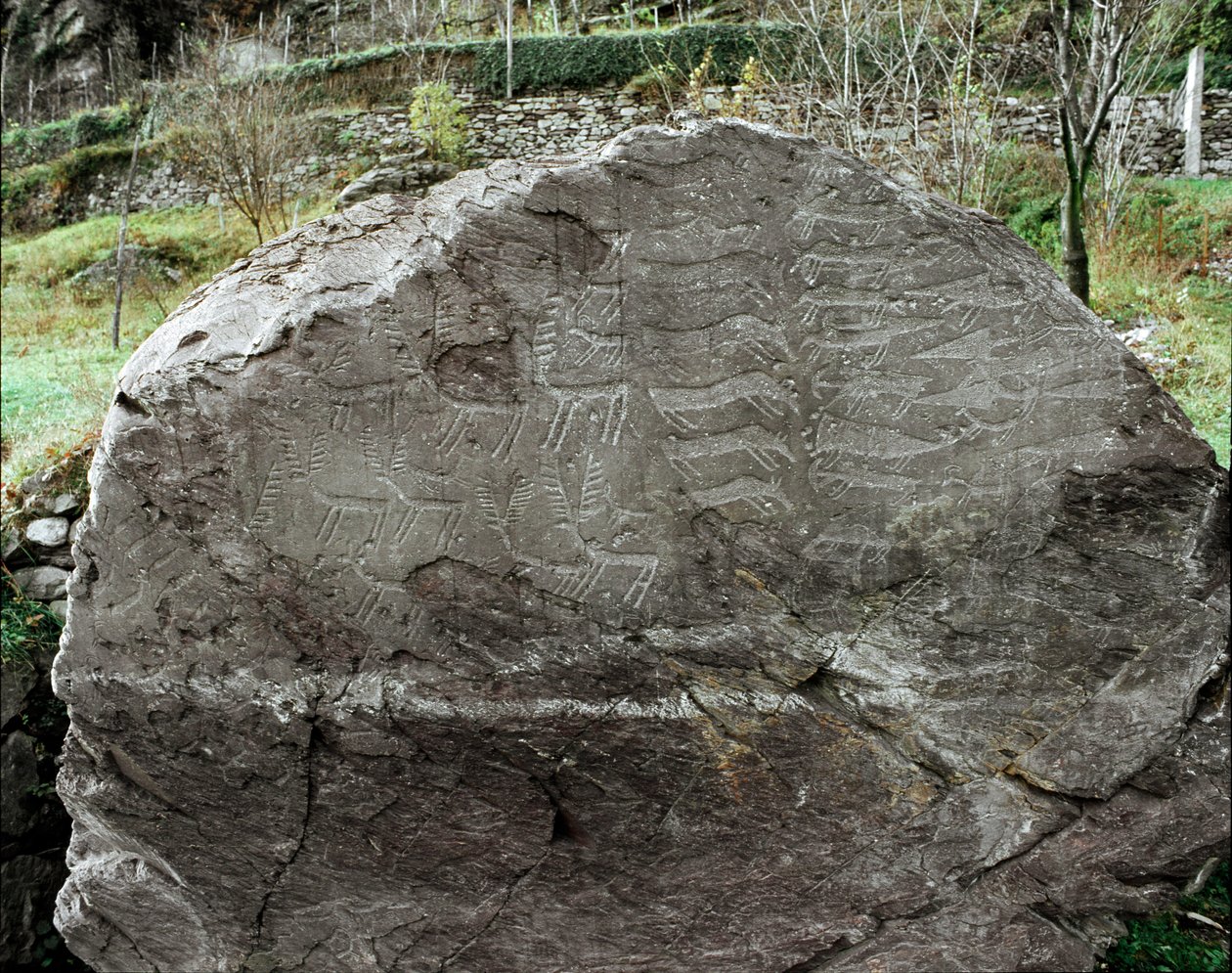 Préhistoire, art rupestre : roche funéraire avec représentations de cerfs, bovins et poignards. Âge du cuivre. Période énéolithique. Roche n. 1. Cemmo (Brescia) Parco archeologico nazionale dei Massi di Cemmo, Italie - Prehistoric Prehistoric