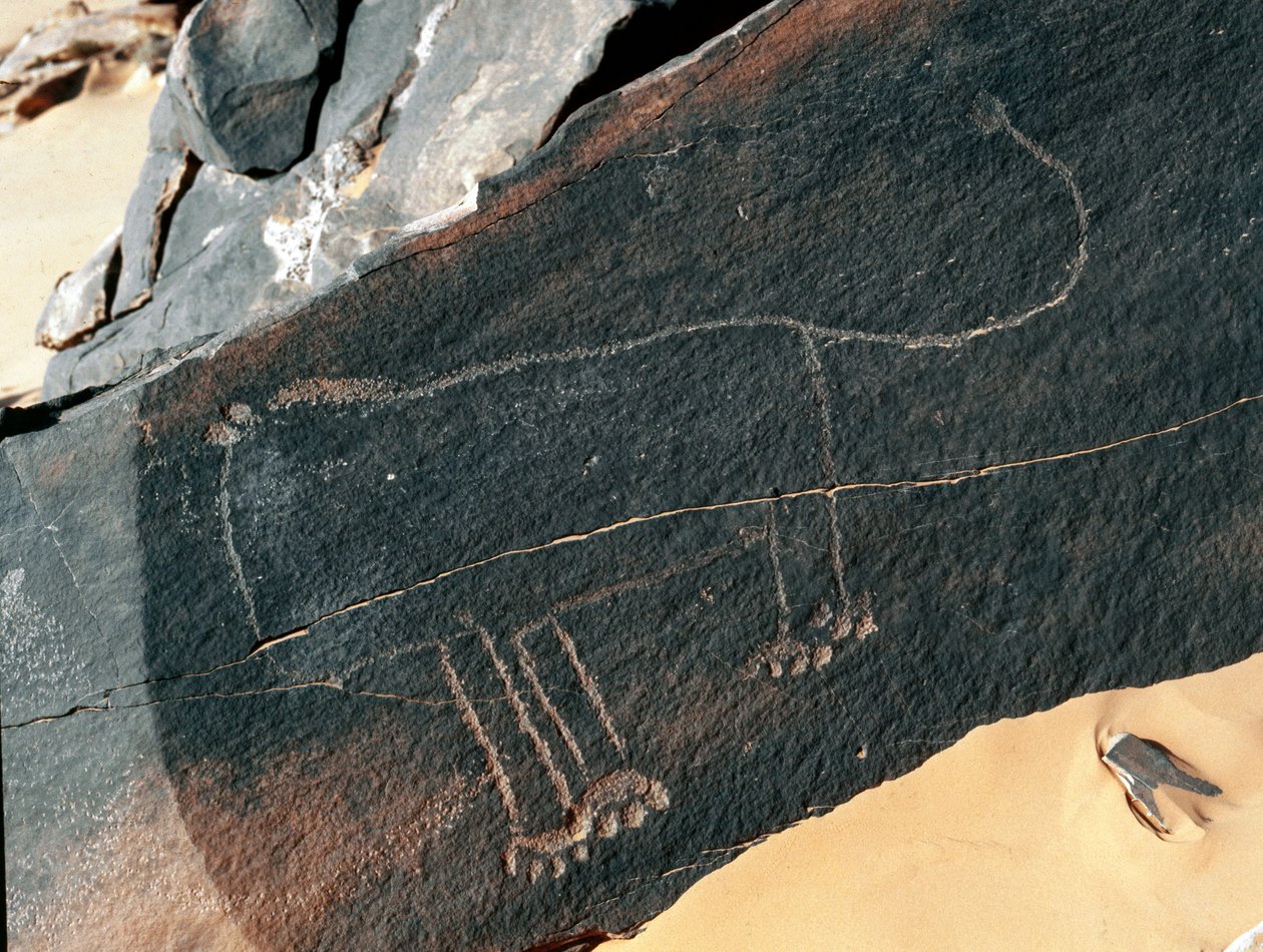 Préhistoire, art rupestre : roche funéraire de la représentation d