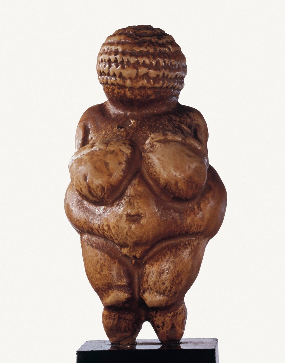 La Vénus de Willendorf - Prehistoric Prehistoric
