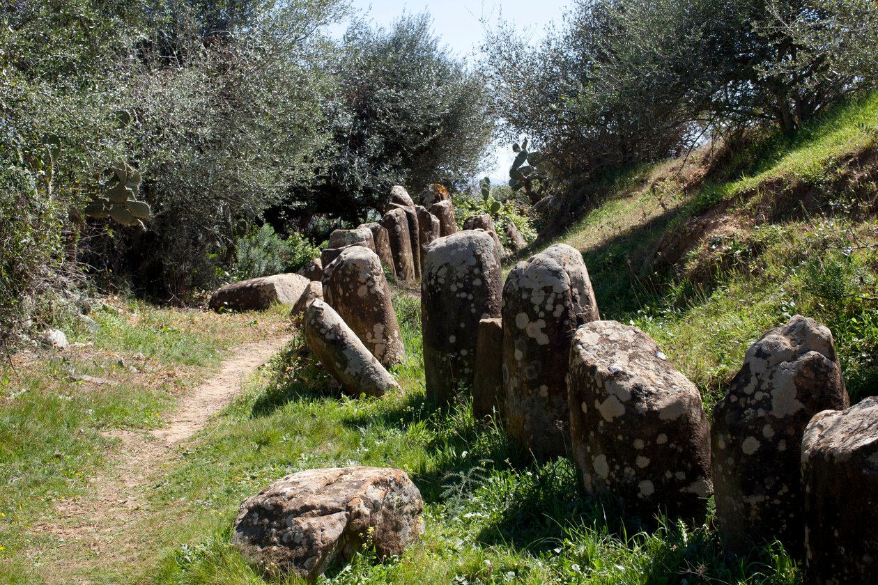 Le site archéologique du cromlech M Zora, à Sidi El Yamani (Maroc) - Prehistoric Prehistoric
