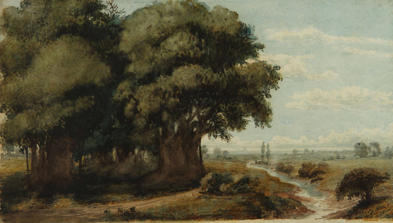 Caprocho (Olivos 13 nov. 1858) - Prilidiano Pueyrredon
