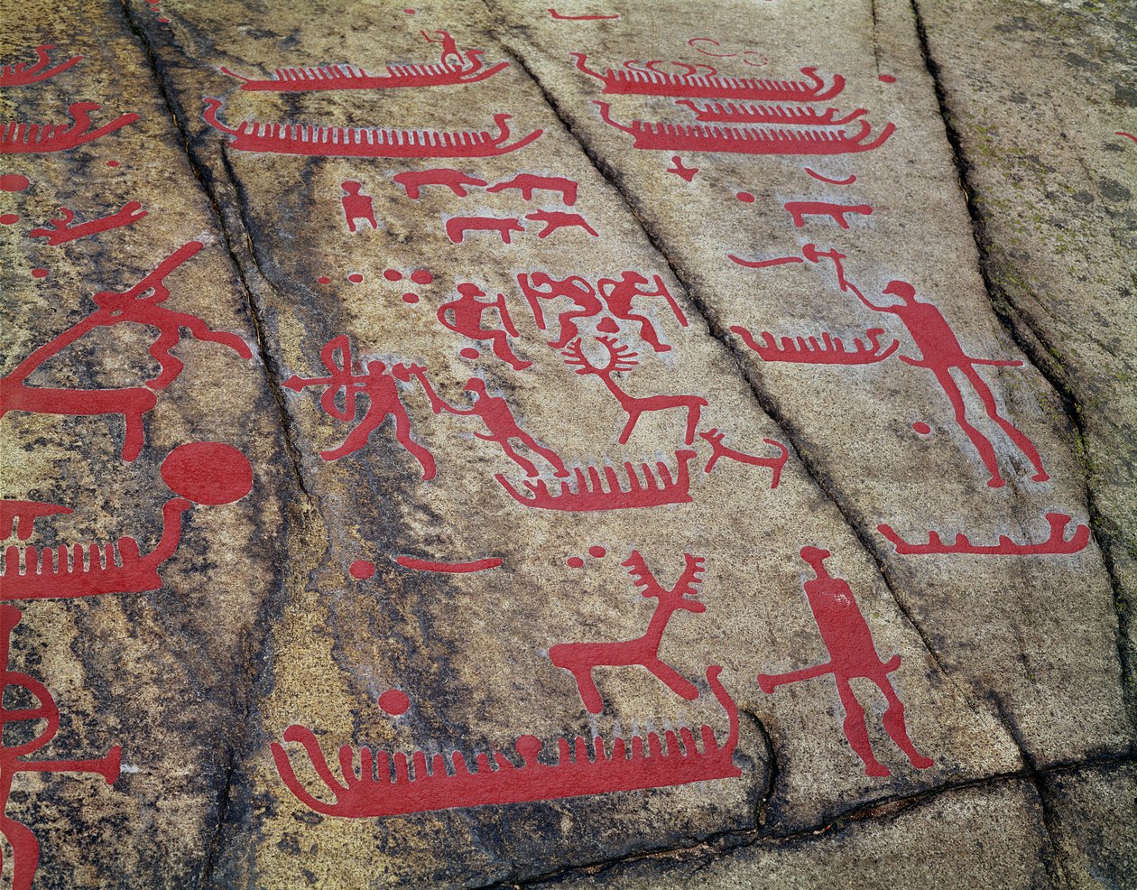 Scènes de chasse en bateau et de chasse au cerf (gravure rupestre) - Protohistoric