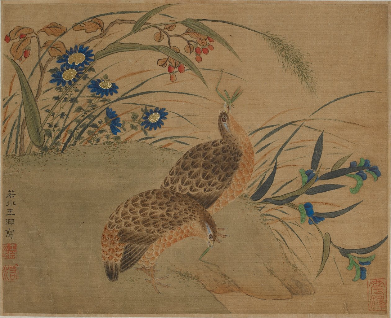 Deux cailles mangeant des sauterelles sous des fleurs - Qing Dynasty Chinese School