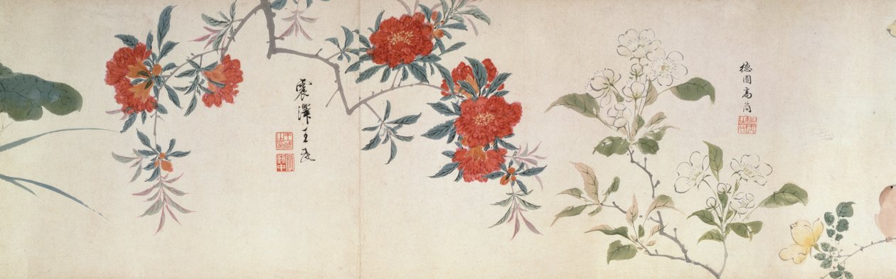 Fleurs, rouleau de main (encre et couleur sur papier) - Qing Dynasty Chinese School