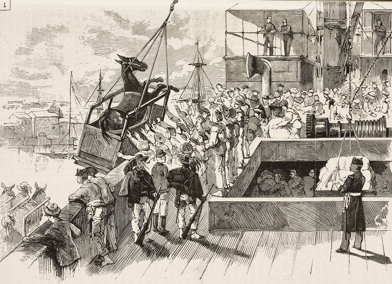 Une mule est hissée sur le navire Principe Amedeo, expédition italienne en mer Rouge, Italie, gravure d