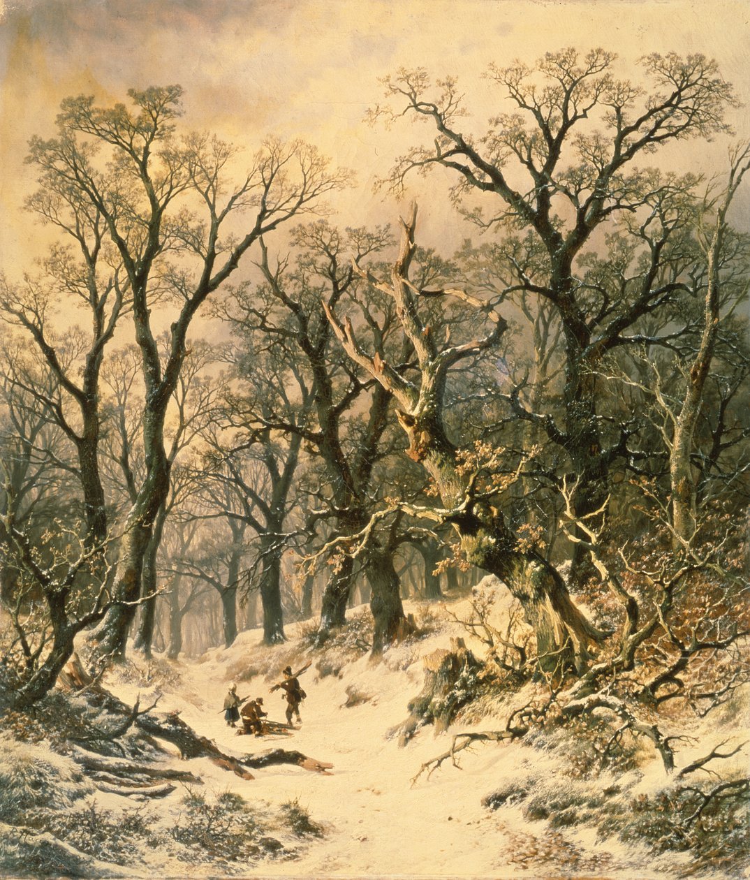 La forêt - R. Van Hannen