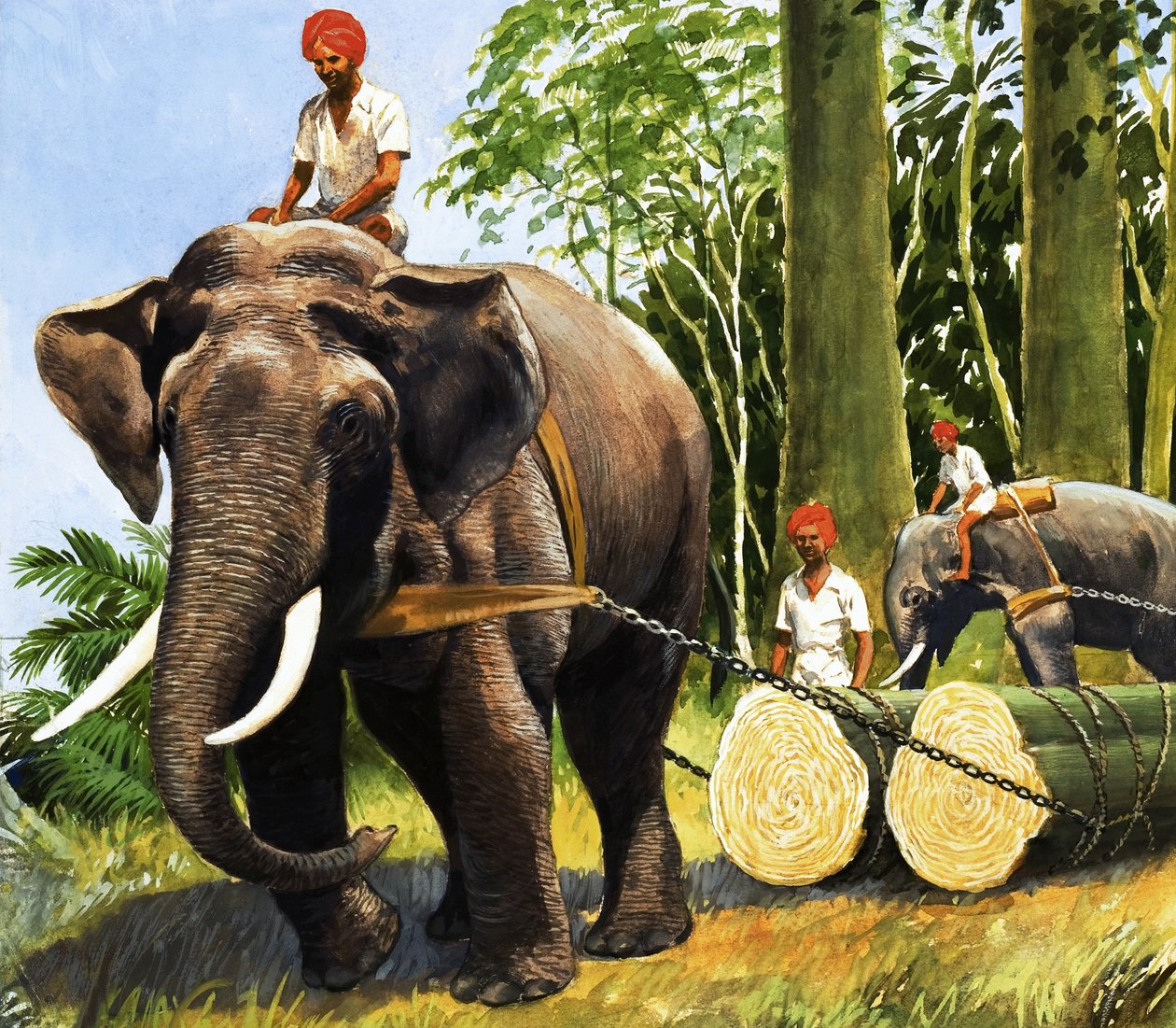 Les éléphants au travail - R.B. Davis