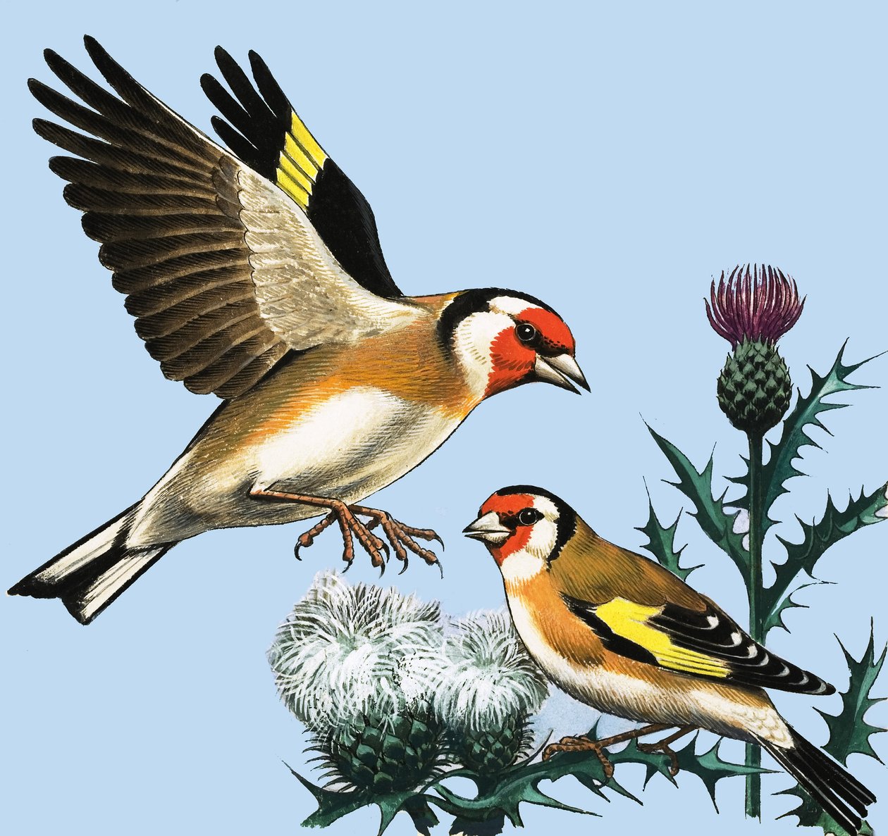 La campagne en septembre, illustration de "Peeps at Nature". - R.B. Davis
