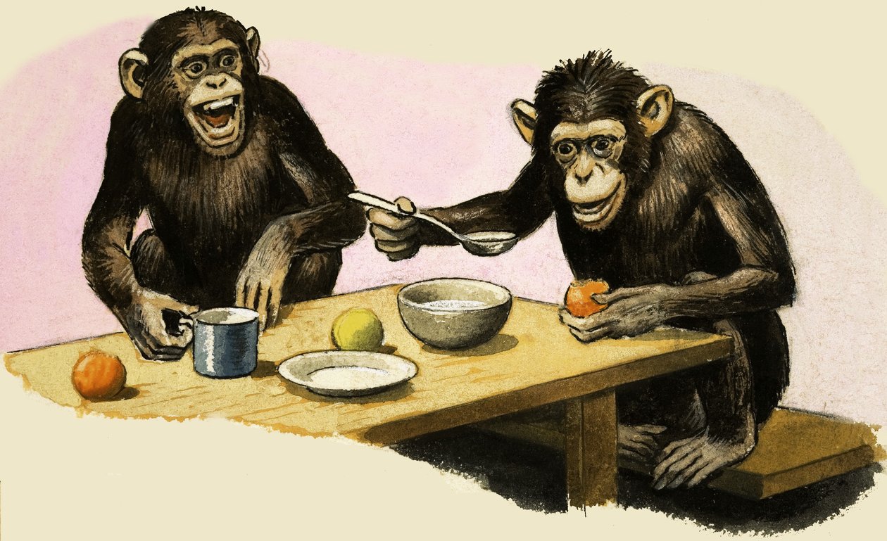 Z comme Zoo. Le goûter du chimpanzé - R.B. Davis