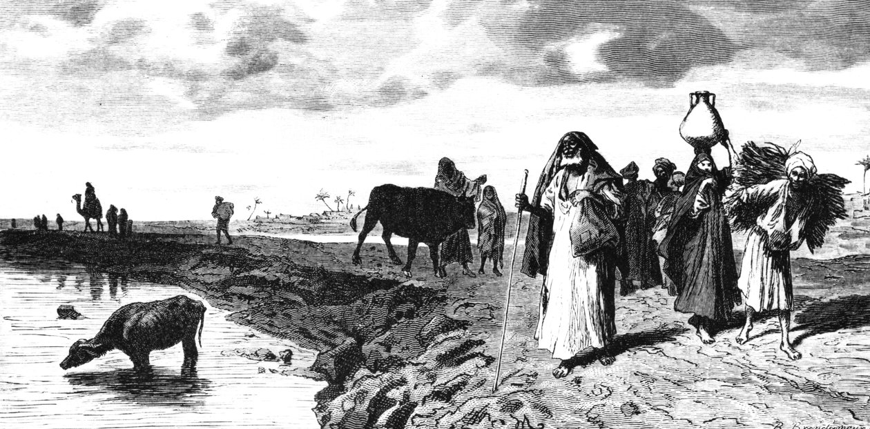 Une chaussée dans le delta, au moment de l