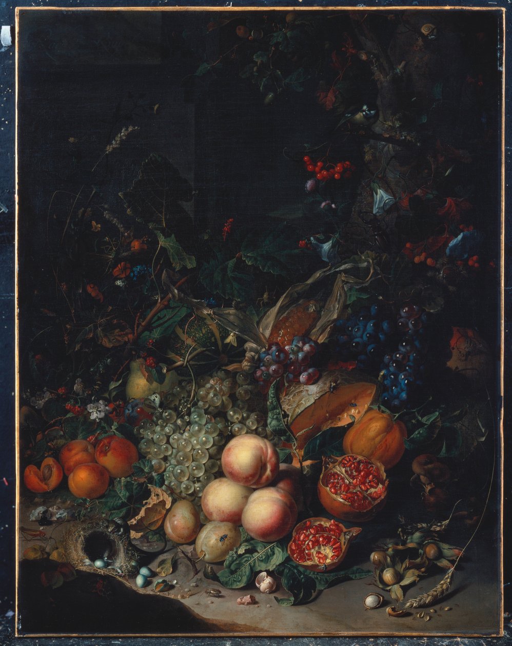 Pêches, raisins, grenades, melons, un épi de maïs, abricots, prunes, poires, glands - Rachel Ruysch