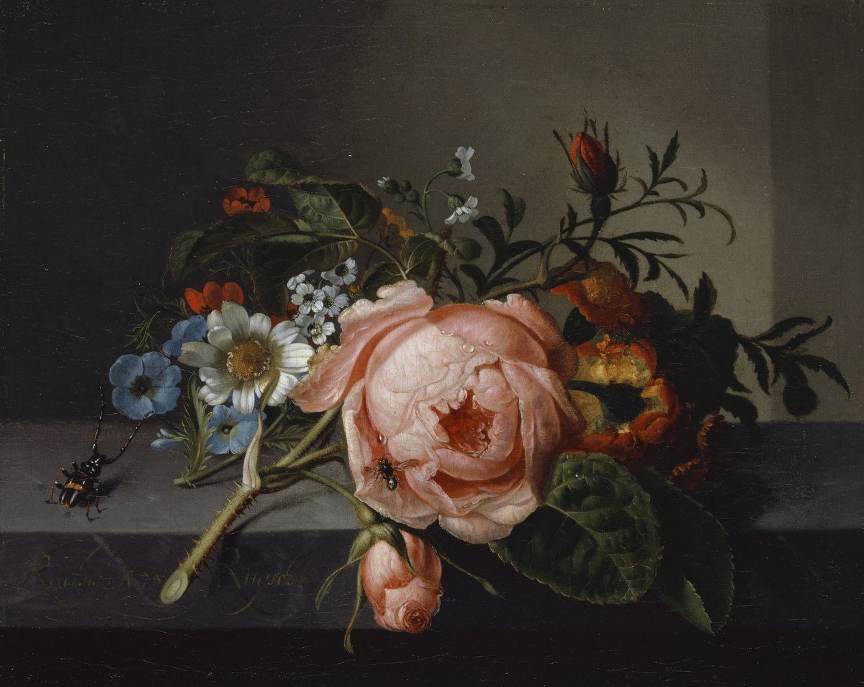 Nature morte avec branche de rose, scarabée et abeille, 1741 - Rachel Ruysch