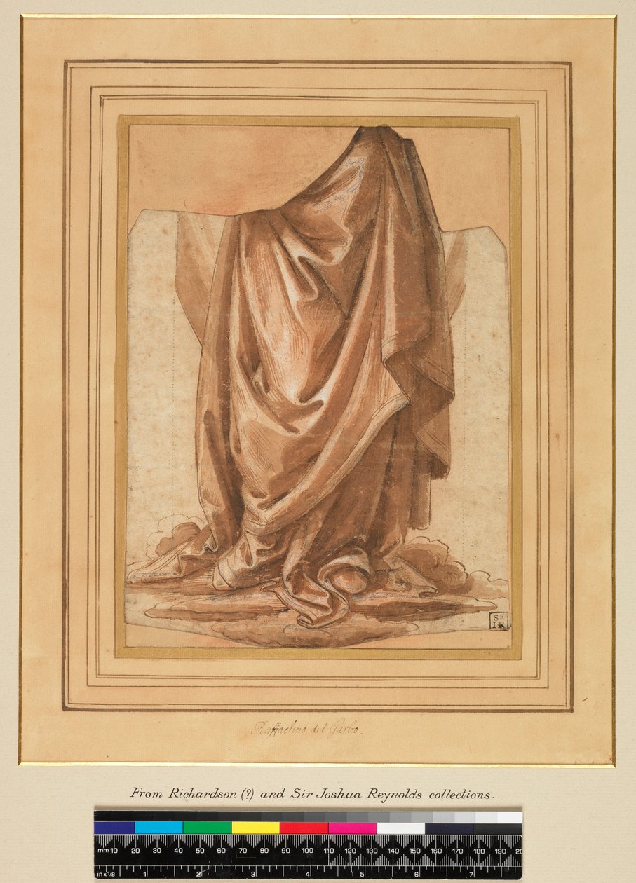 Étude de draperie, avant 1524 - Raffaellino del Garbo