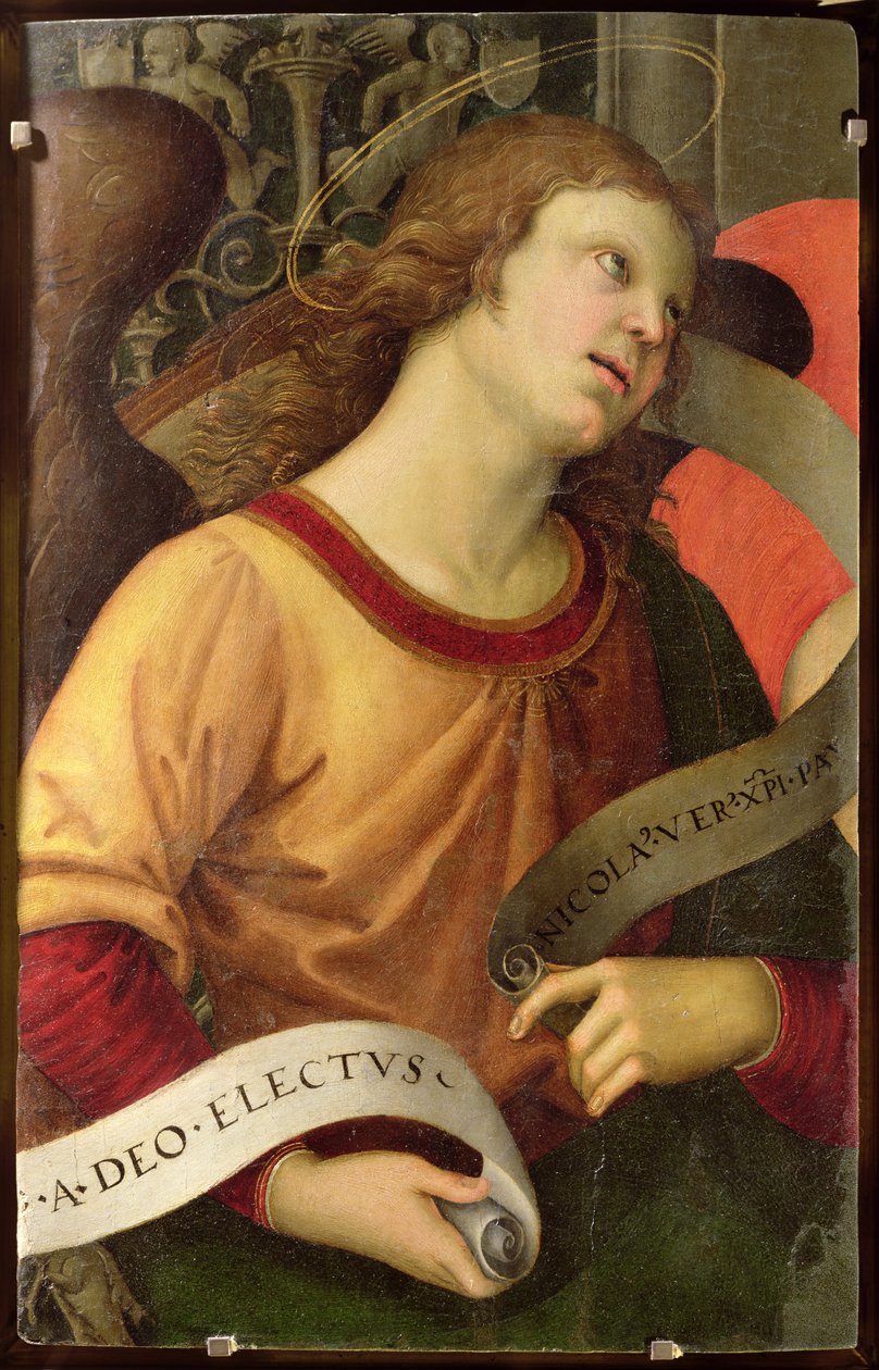 Ange, du polyptyque de Saint Nicolas de Tolentino, 1501 - Raffaello Sanzio Raphael