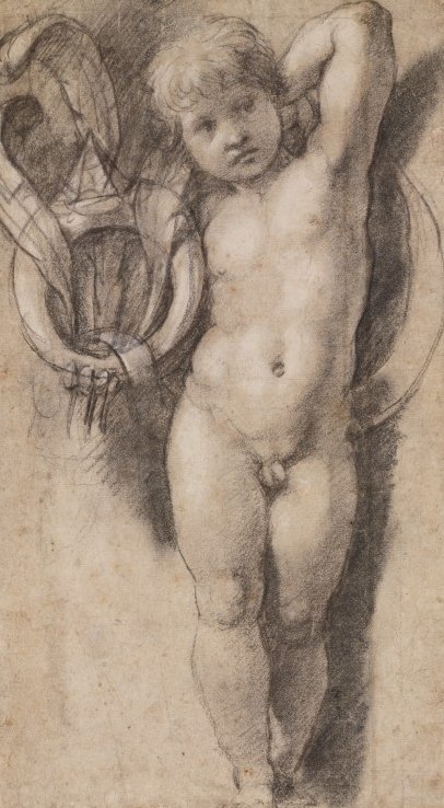 Putto avec symboles des Médicis - Raffaello Sanzio Raphael