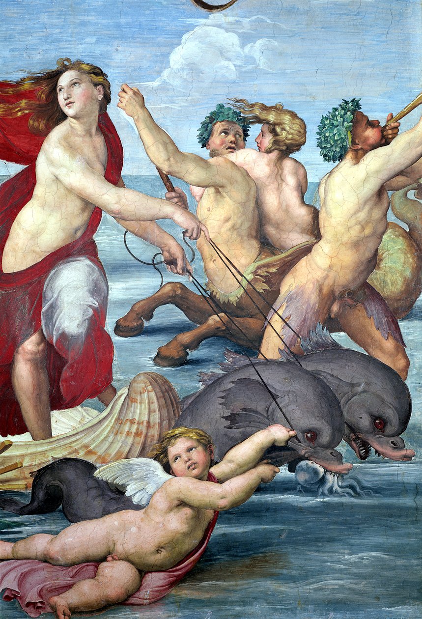 Galatée (détail) des tritons et dauphins - Raffaello Sanzio Raphael