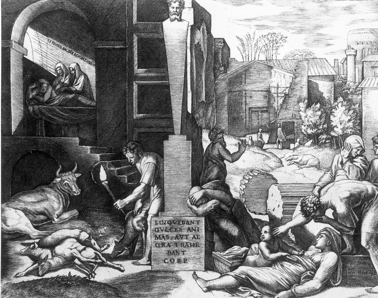 La peste chez les animaux et les humains - Raffaello Sanzio Raphael
