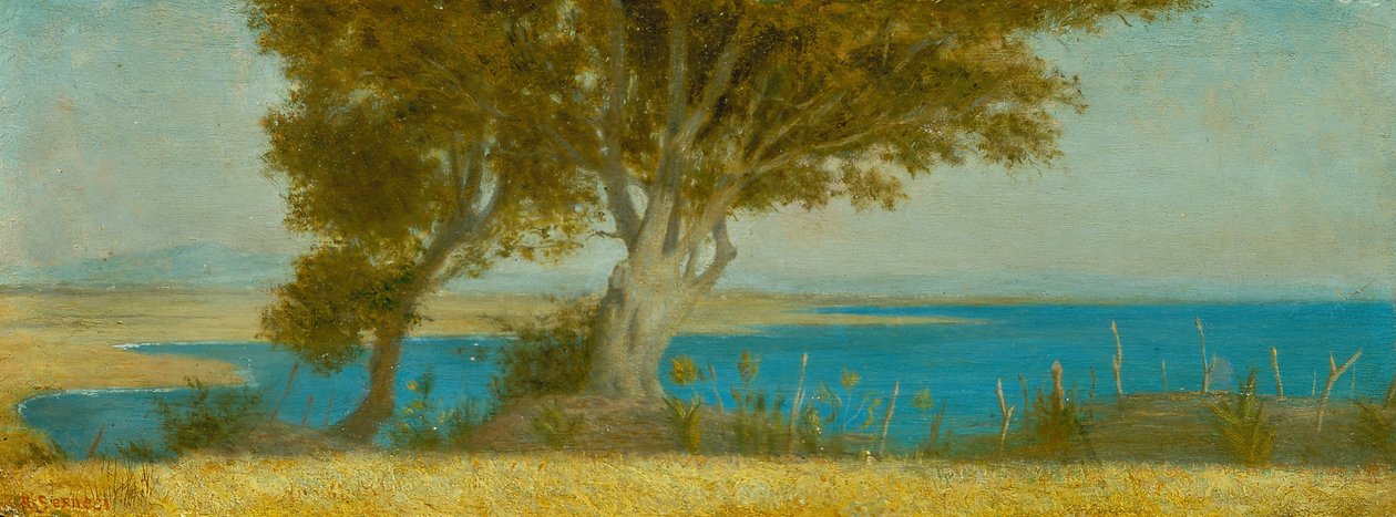 Marina di Castiglioncello - Raffaello Sernesi