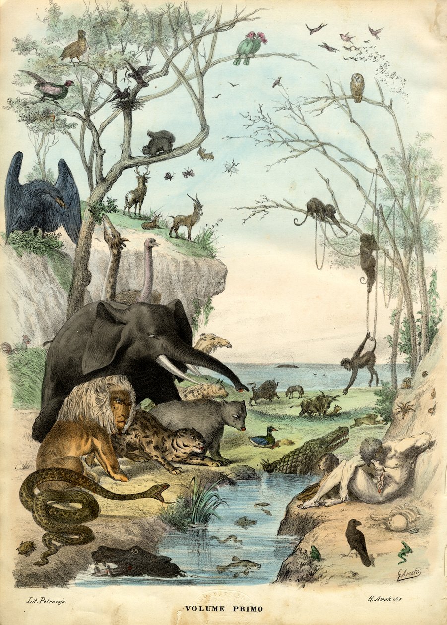 Page de Titre, 1863-79 - Raimundo Petraroja
