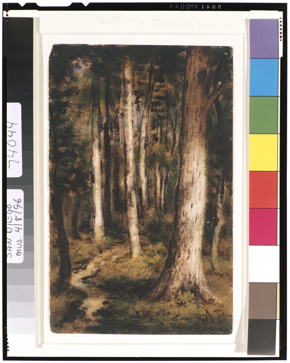Scène de forêt, 1901-15 - Ralph Albert Blakelock