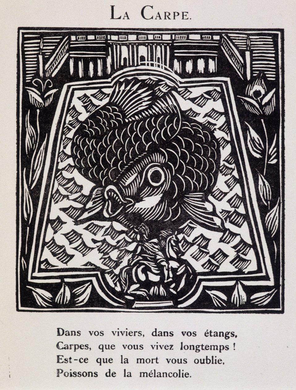 Carp - in “Le Bestiaire ou cortege d