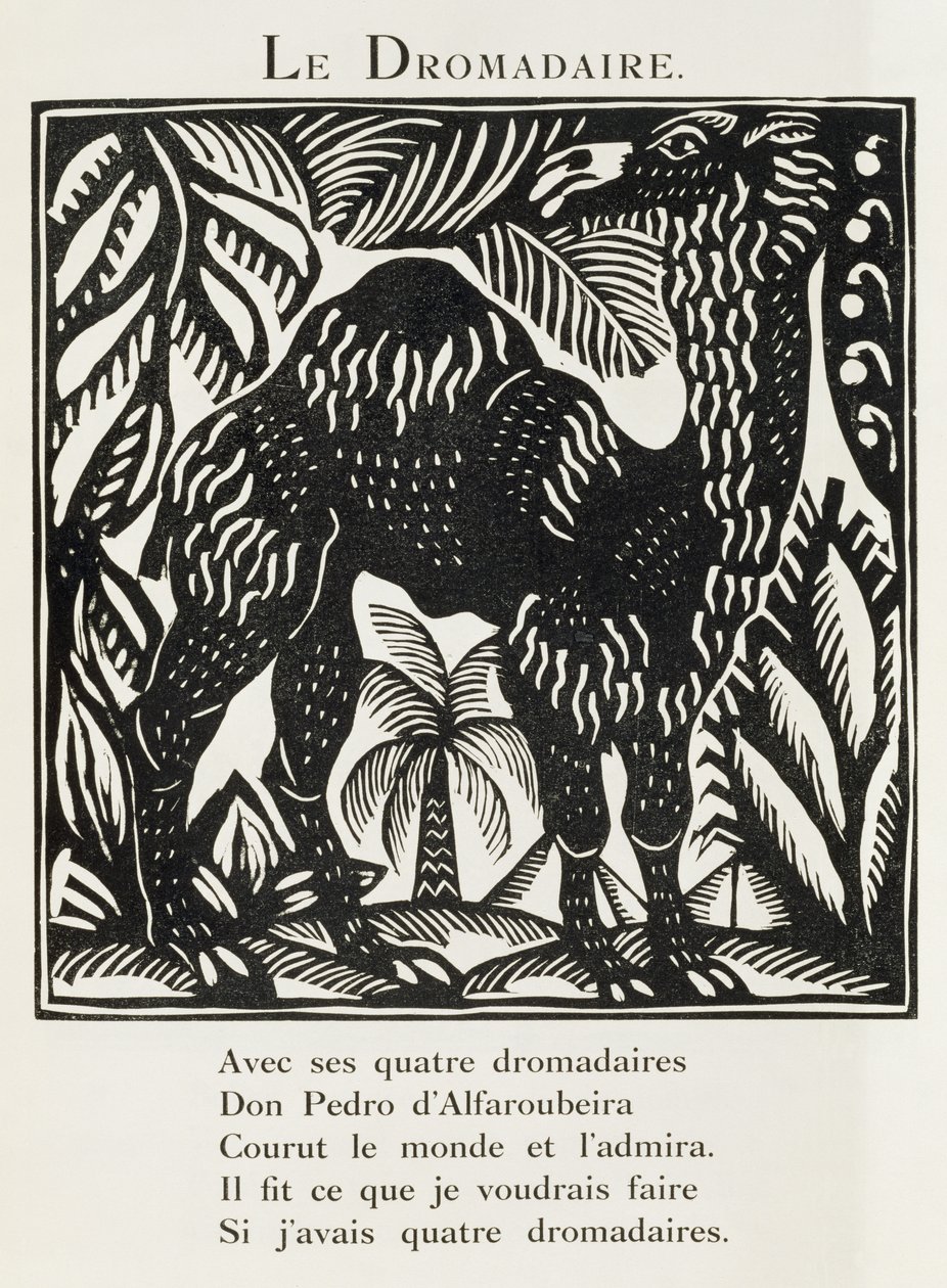 Le dromadaire, illustration tirée du "Bestiaire ou cortège d