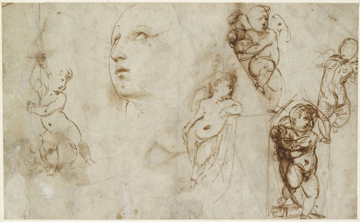 Recto : Une tête de femme pour Borghese-Beckford Sainte Catherine et divers putti, WA1846.177 - Raffaello Sanzio Raphael