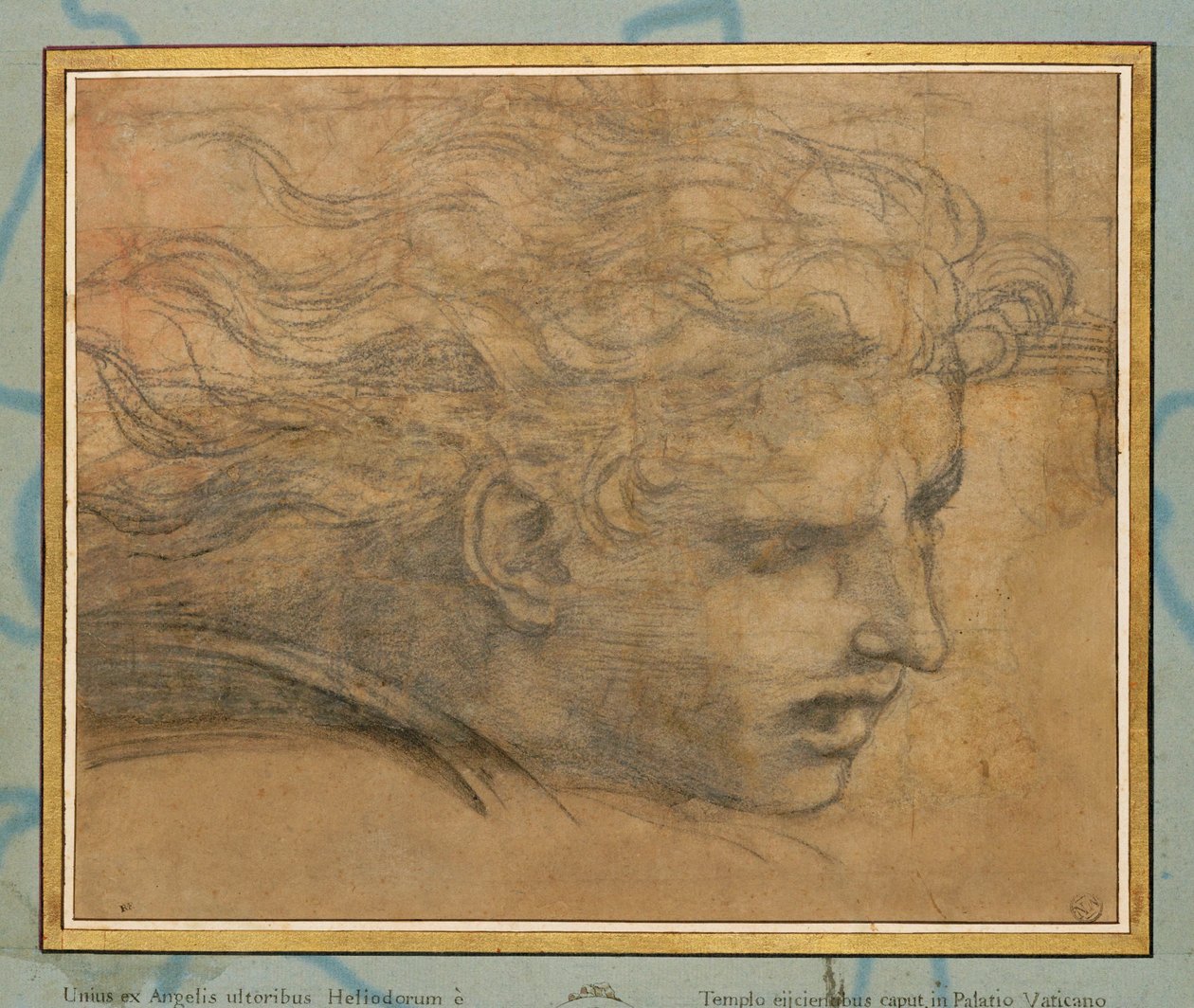 Tête de jeune homme, trois quarts vers la droite ... - Raphael (1483-1520)