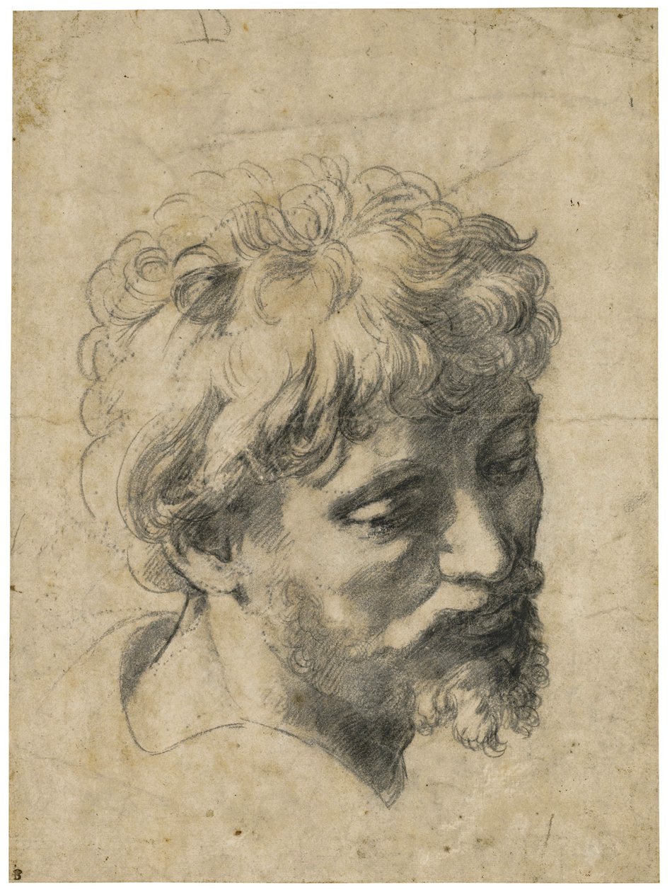 « Portrait de jeune apôtre » (Tête de jeune apôtre) Charbon sur papier de Raphaël (Raffaello Sanzio) (1483-1520) Collection privée - Raphael