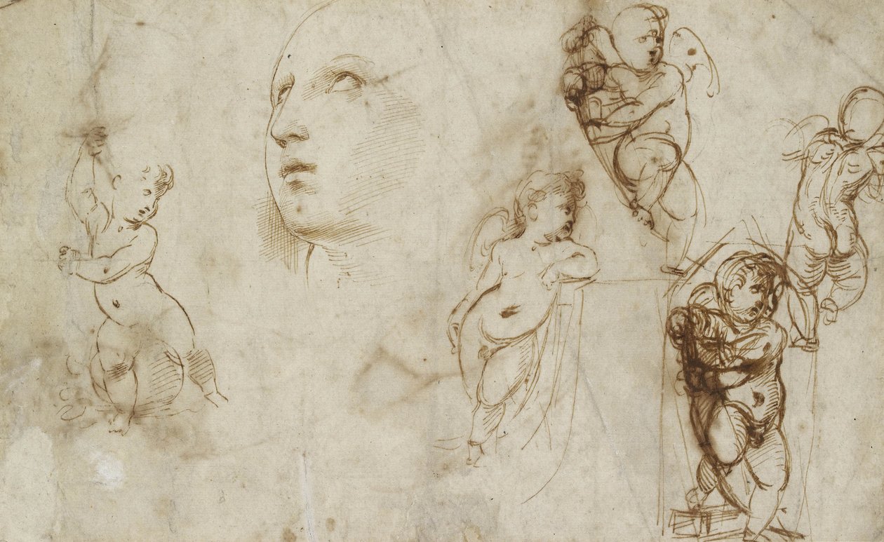 Diverses études, principalement pour la Sainte Catherine Borghese-Beckford - Raphael
