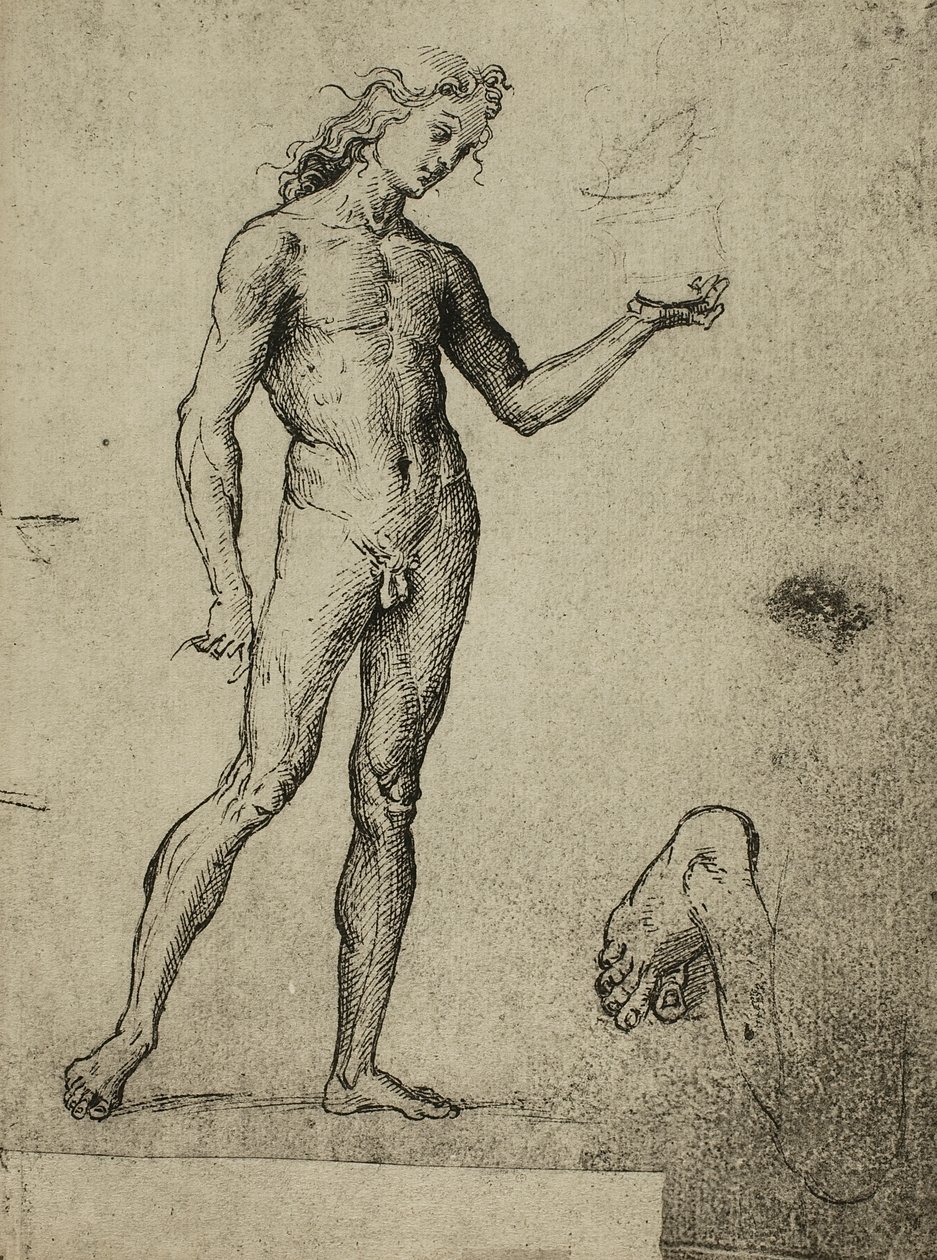 Étude de nu masculin - Raffaello Sanzio Raphael